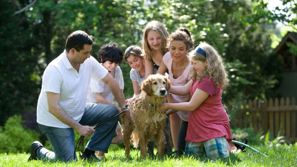 group of people standing on green grass field during daytime